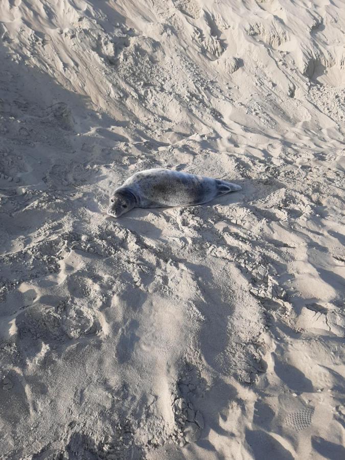 Blekkerke Villa Koksijde Eksteriør billede