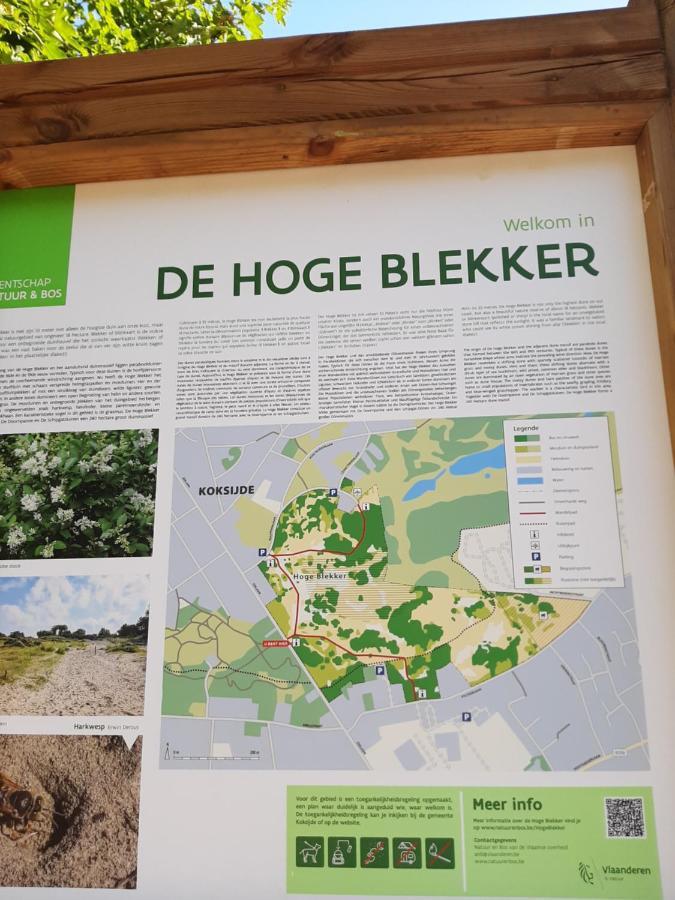 Blekkerke Villa Koksijde Eksteriør billede